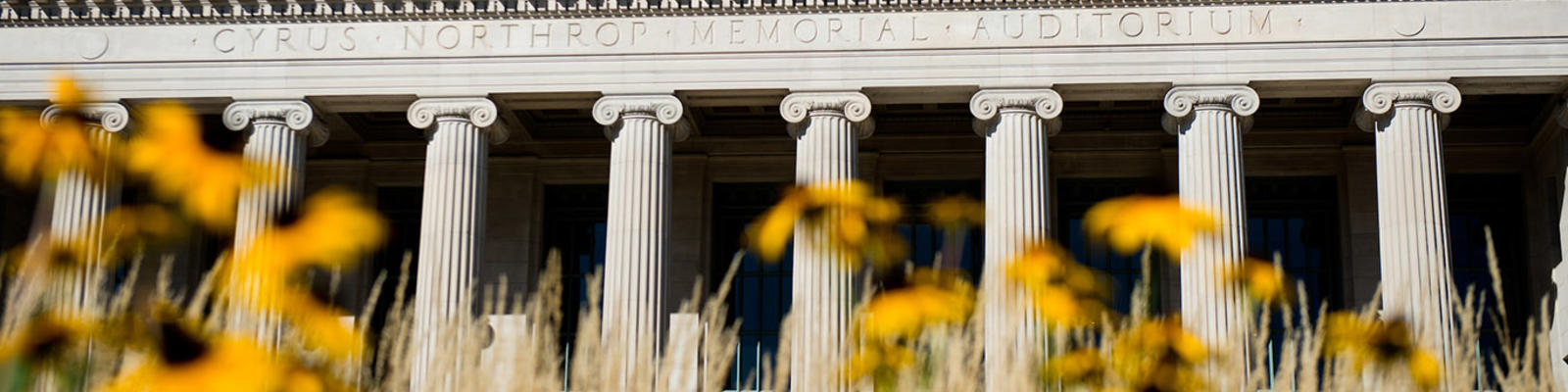 Yellow flowers in front of the columns of Northrop Auditorium