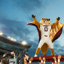 Goldy the Gopher at a football game wearing a cape, ready to do pushups for the number of points the team has